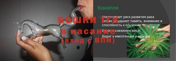 индика Болхов