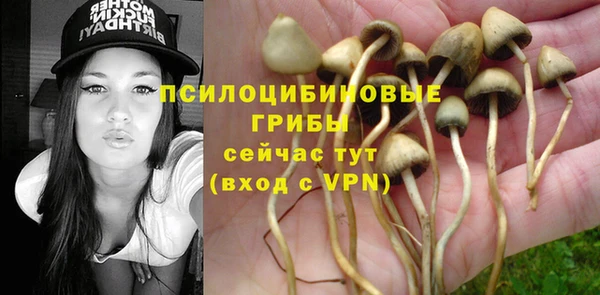 молекула духа Новокубанск