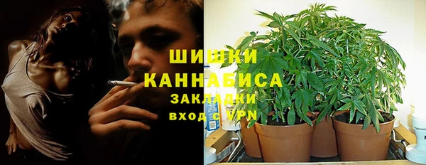 молекула духа Новокубанск