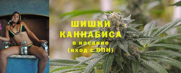 первитин Новодвинск