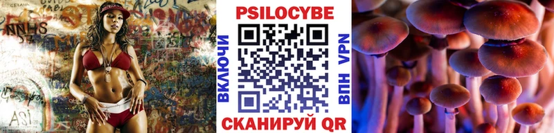 купить наркотики цена  площадка официальный сайт  MEGA маркетплейс  Галлюциногенные грибы Cubensis  Саранск 