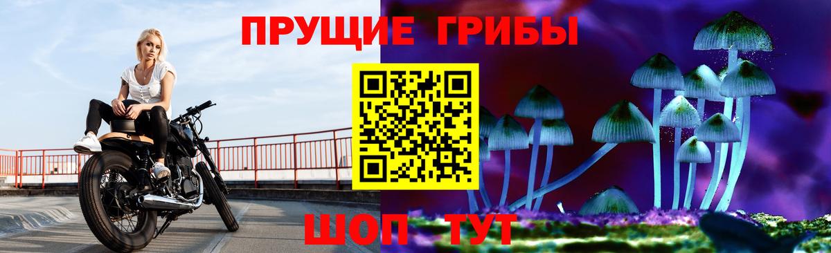 Псилоцибиновые грибы Cubensis  Галлюциногенные грибы GOLDEN TEACHER  Вход с VPN  Саранск 