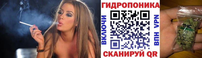 где купить наркоту Саранск Бошки Шишки OG Kush